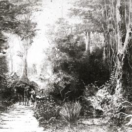 Old Pack Track - WAIMEA ( GOLDSBOROUGH ) WEST COAST.1888.