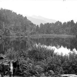 Two people seated in a horse-drawn cart near a lake, Westland.1890`s-1910`s