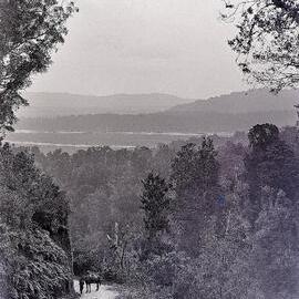 Bush road, Westland.1890`s -1910`s.