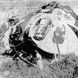 Stag caused helicopter crash, 1980