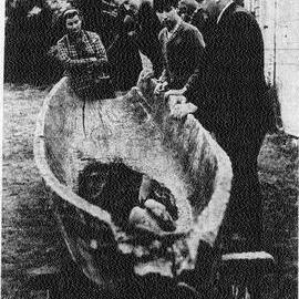 Old canoe presented to Blacks Point Museum, 1972