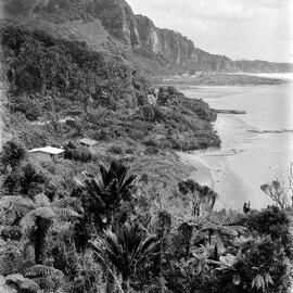 Punakaiki photographed from along the Greymouth-Westport road.1934.