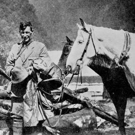 West Coast guide, Mr A. Graham, with his horses on the Waiho-Weheka forest route in Westland.1929.