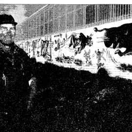 Mr Bill Simpson, a Karamea dairy farmer, boasts the brightest cowshed in the district.1993.