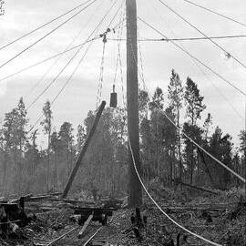 Bushmen using cables and pulleys attached to a spar tree to load logs onto bogies on tramway tracks for processing at the timber yard at Ross.1947.