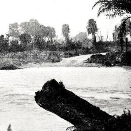 McCullough's Creek,near Whataroa and Harihari - one of the Hooded streams which had to be forded by the cars.1928.
