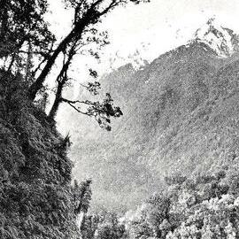 Waiho - Weheka Road.1929.