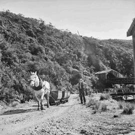 Burnett's Face, Denniston.