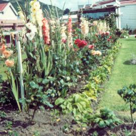 Puketahi St