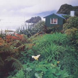 Bach, Fox River, Woodpecker Bay.