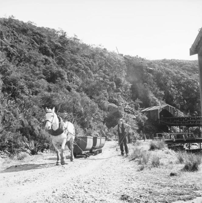 Burnett's Face, Denniston
