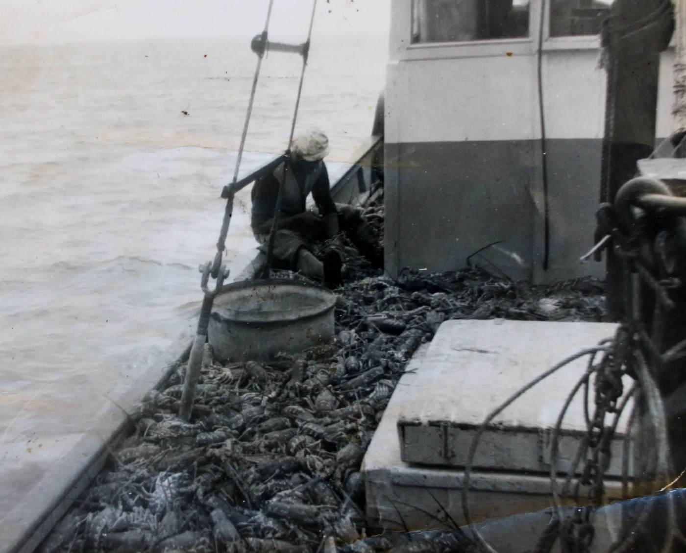 Crayfishing at Jackson Bay